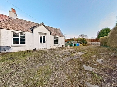 Cottage to rent in Kilmany, Cupar, Fife KY15