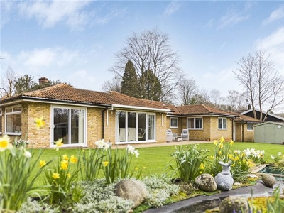 Bungalow for sale in St. Ives Close, Digswell, Welwyn AL6