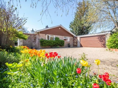 Detached bungalow for sale in Ludlow Lane, Fulbourn, Cambridge CB21