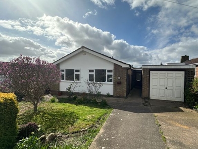 Detached bungalow to rent in Olive Grove, Burton Joyce, Nottingham NG14