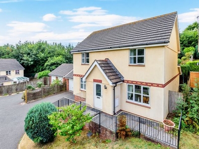Detached house for sale in Centenary Way, The Willows, Torquay, Devon TQ2