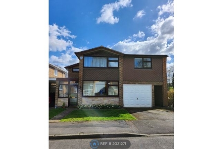 Detached house to rent in Brookfield Avenue, Loughborough LE11