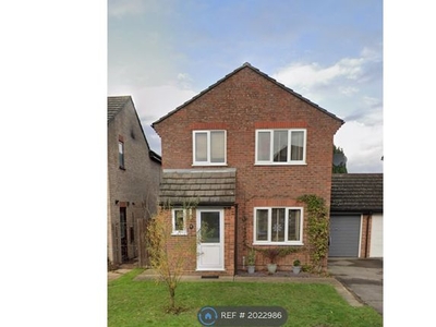 Detached house to rent in Brougham Glades, Stanway, Colchester CO3
