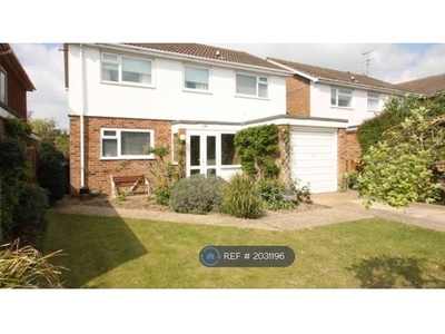 Detached house to rent in Cissbury Road, Worthing BN14