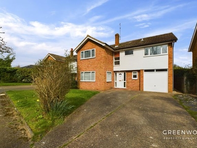 Detached house to rent in Lexden Road, Colchester CO3