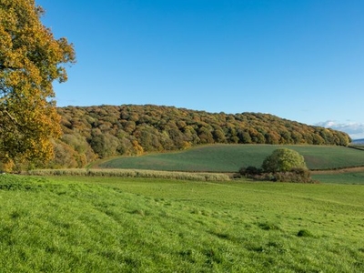 Land for sale in Brinsop, Hereford, Herefordshire HR4