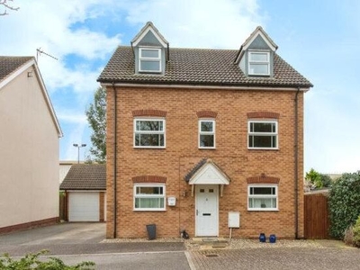 Detached house to rent in The Presidents, Bury St. Edmunds IP28