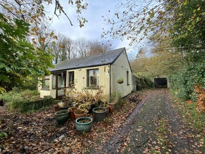 3 Bedroom Bungalow Lifton Devon