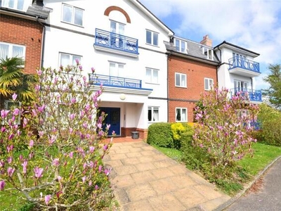 3 Bedroom Shared Living/roommate East Sussex West Sussex