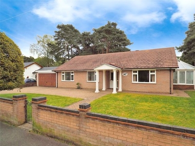 Bungalow for sale in Sandy Lane, Ringwood, Hampshire BH24