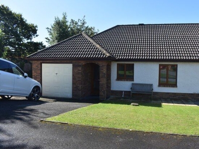 Bungalow to rent in Maesglasnant, Carmarthen SA31