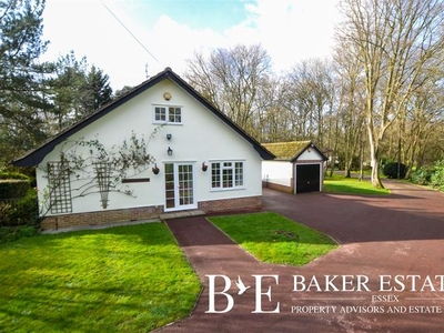 Detached bungalow for sale in Lea Lane, Great Braxted, Witham CM8