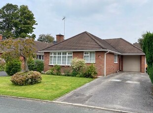 Detached bungalow to rent in Hulton Close, Mossley, Congleton CW12