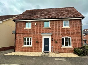 Detached house to rent in Bramble Walk, Red Lodge, Bury St. Edmunds IP28