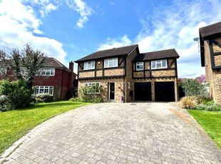 Detached house to rent in Cuffelle Close, Chineham, Basingstoke RG24