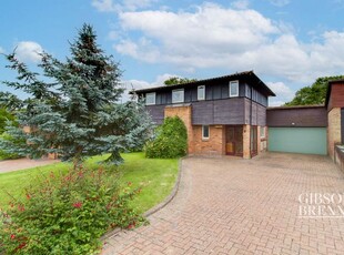 Detached house for sale in Butlers Grove, Basildon SS16