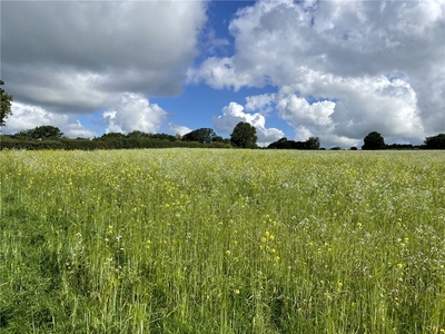 103.68 acres, Land At Libbear, Shebbear, Beaworthy, EX21, Devon