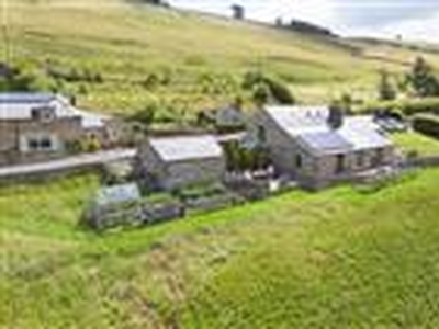 12.47 acres, Far Pasture Farm, Ninebanks, Hexham, Northumberland