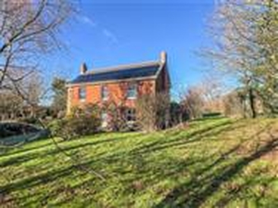 12.56 acres, 12.56 Acres - Pennicott, Shobrooke, Crediton, EX17, Devon