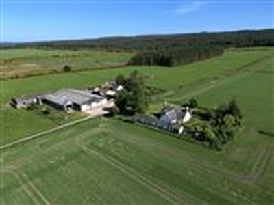 169.7 acres, Monaughty Farm - Lot 2 - Dykeside, Forres, Moray, IV36, Highlands and Islands