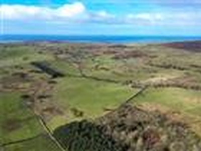 191.84 acres, Land At Barmeal Farm, Whithorn, Newton Stewart, Dumfries and Galloway, South West Scotland, DG8, Lowlands