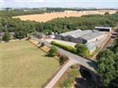 3.34 acres, Letham Grange Potato Sheds, Letham Grange, Arbroath, Angus, DD11, Central Scotland