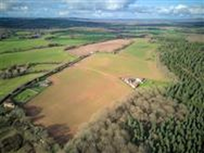 53 acres, Land At Tedgewood, Upton Bishop, Ross-on-Wye, Herefordshire