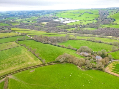 84.49 acres, Frandale Farm - Whole, Shillingford, Tiverton, EX16, Devon