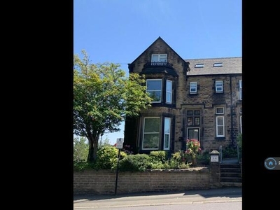 1 Bedroom Apartment Sheffield South Yorkshire