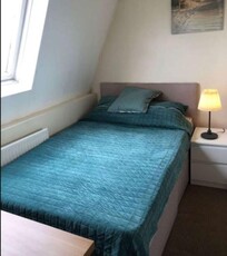 5 Bedroom Shared Living/roommate London London