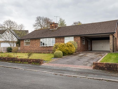 Detached bungalow to rent in Sedbergh Close, Seabridge, Newcastle Under Lyme ST5