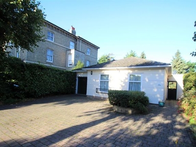 Detached bungalow to rent in The Avenue, Lexden, Colchester CO3