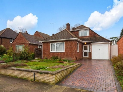 Detached bungalow to rent in Woodland Drive, Watford WD17