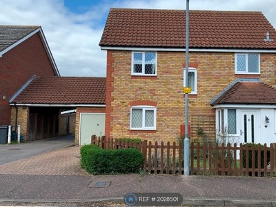 Detached house to rent in Broomfield, Essex CM1