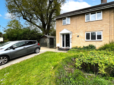 Semi-detached house to rent in Thistle Grove, Welwyn Garden City AL7
