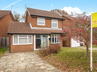 4 Bed House To Rent in Ascot, Berkshire, SL5 - 685