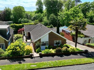 4 bedroom detached bungalow for sale in The Beeches Close, Sketty, Swansea, SA2