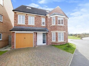 5 bedroom detached house for rent in Principal Rise, Dringhouses, York, YO24