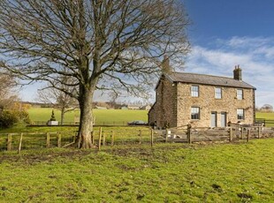 Donkleywood, Low Donkleywood Cottage, Falstone, 2 Bedroom Cottage