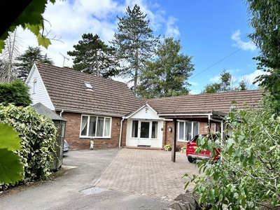 Detached bungalow for sale in Aylestone Hill, Hereford HR1