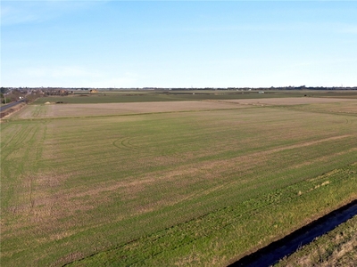 196.85 acres, Crowland Road, Newborough, Peterborough, PE6, Cambridgeshire