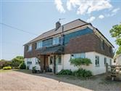 3.94 acres, Coldwaltham, West Sussex, RH20 1LE