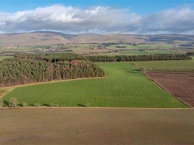 65.36 acres, Lot 2 - Low Abbey Farm , Penrith, Cumbria, CA10 1XR
