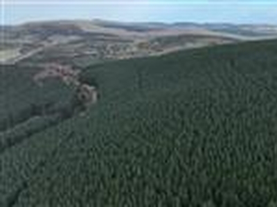 744.69 acres, Lendrick & Fossoway Forests, Yetts O’Muckhart, FK14, Central Scotland