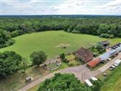 9.15 acres, The Forest & Betts Lodge, Kent