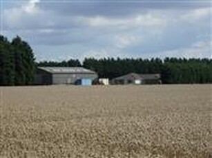 279.82 acres, Tholomas Drove, Wisbech St Mary, PE13 4SN, Cambridgeshire