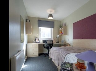 Room in a Shared Flat, Staniforth Street, B4