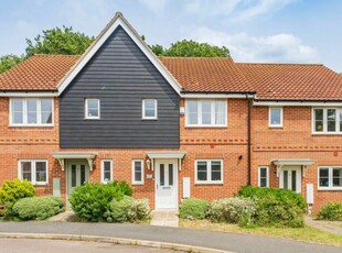 3 bedroom terraced house for sale in Freesia Way, Cringleford, NR4