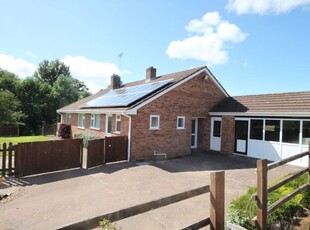 Detached bungalow to rent in Cheriton Fitzpaine, Crediton EX17