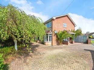 Property to rent in Hollow Lane, Hayling Island PO11